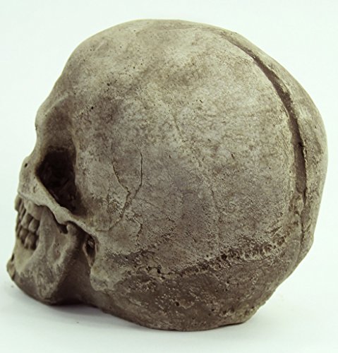 Skull Head Concrete Garden Statue Cement Figurine Cast Stone Halloween