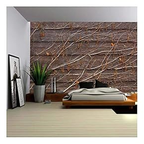 Orange Vines Draping on a Wood Panel Wall - Wall Mural, Removable Wallpaper, Home Decor - 66x96 inches