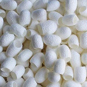 Lurrose Attrezzo 100pcs di cura di bellezza del dispositivo di rimozione dei punti neri delle punte della spazzola del… Lurrose Lurrose Attrezzo 100pcs di cura di bellezza del dispositivo di rimozione dei punti neri delle punte della spazzola del…