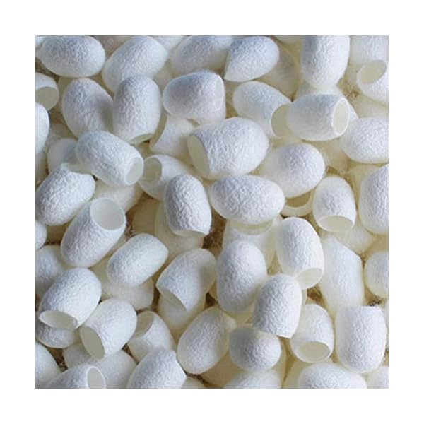 Lurrose Attrezzo 100pcs di cura di bellezza del dispositivo di rimozione dei punti neri delle punte della spazzola del… Lurrose Lurrose Attrezzo 100pcs di cura di bellezza del dispositivo di rimozione dei punti neri delle punte della spazzola del…