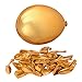 Home Kitty 100 Pack 12 Inches Gold Color Latex Party Balloons – Party Decoration and Accessories
