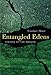 Entangled Edens: Visions of the Amazon by Candace Slater