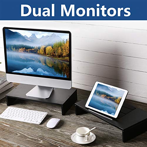 Rfiver Wood Dual Monitor Stand Riser 2 Pack Multifunctional Desktop Organizer Computer Tabletop Screen Riser Stand for TV PC iMac Laptop Printer, Black CM1006