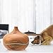 Ominihome Essential Oil Diffuser 300ml Cool Mist Humidifier Ultrasonic Aroma Diffuser, Waterless Auto Off, Wood Grain, Brightness Adujstable, Birthday Gift (Wood Grain)