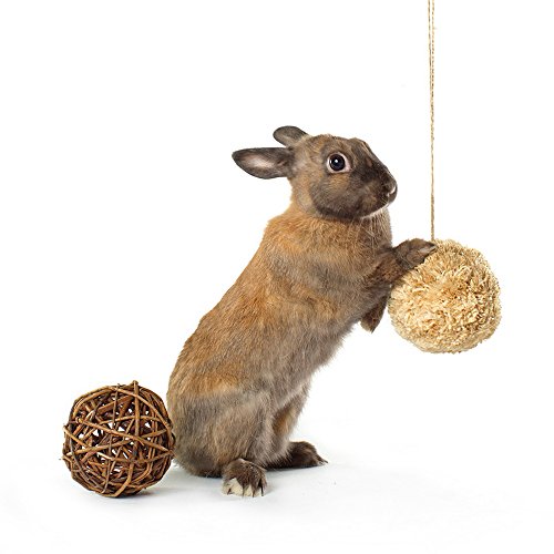 Top 10 best rabbit toys willow ball Which is the best one in 2019