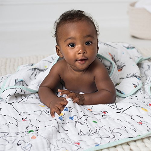 aden and anais dinosaur dream blanket