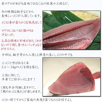 Amazon マグロの王様 本マグロの若魚 メジ鮪 上品な甘みと酸味がある天然生メジマグロ 生のメジまぐろをカブト付きの半身でご紹介 11月18日 19日 25日 26日限定出荷 築地の匠 食品 飲料 お酒 通販