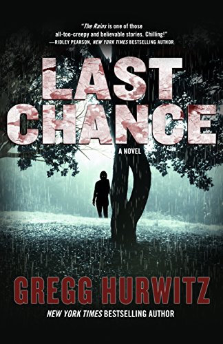 Last Chance: A Novel (The Rains Brothers)