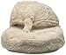 ACORN Women's Spa Thong Slipper,Taupe,Large/8-9 M US