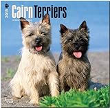 Cairn Terriers 2015 Square 12x12 (Multilingual Edition)