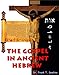 The Gospel in Ancient Hebrew - Booklet with CD