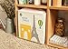 kaikai & ash Toy Storage Bins, Foldable Canvas Cube Box for Kids, 13 inch - Paris
