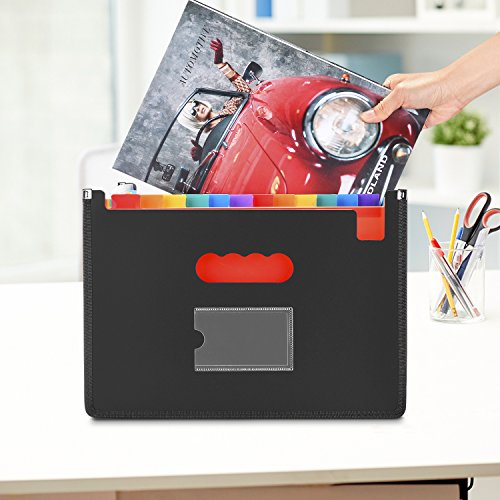 24 Pockets Expanding File Folder, AGPtEK Large Capacity A4 Document Organizer with Expandable Bottom Stand & Colored Labels, Portable Plastic File Box Works on A4 & Letter Size – Black
