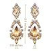 Miraculous Garden Women's Silver Gold Rose Gold Tone Plated Crystal Rhinestone Drop Earrings for Mother's Day (Gold tone plated champagne crystal)