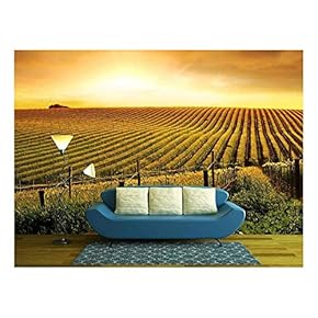 a Beautiful Sunset Over a Barossa Vineyard - Removable Wall Mural | Self-Adhesive Large Wallpaper - 66x96 inches
