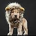 lcfun Lion Mane Costume for Cat Puppy - Pet Wig with Ears, Cat Clothes for Halloween Party