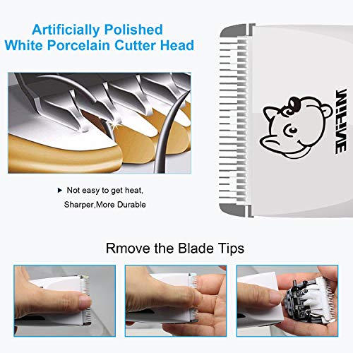 Professional Dog Grooming Clippers - Rechargeable Dog Grooming Kit and Dog Hair Clippers Cordless Suitable Dog & Cat and Other House Animals, Dog Hair Trimmer