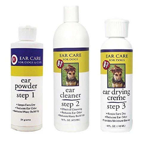 r7 ear care kit