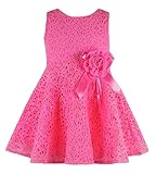 Rorychen Cute Baby Girls Sleeveless Lace Pleated Dress with Flower Party(0-24M)