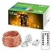 Lighting EVER Fairy Lights, 33ft 100 LED Copper Wire String Lights, Dimmable with Remote/Timer, USB Powered, IP65 Waterproof, Decorative Twinkle Light for Party, Wedding, Garden and More
