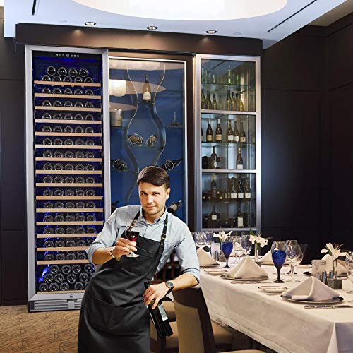 BODEGA 24 Inch Wine Cooler, 176 Bottles Wine Refrigerator with High