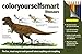 Color Yourself Smart: Dinosaurs by 