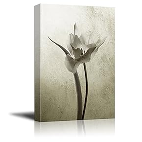 Canvas Print Wall Art - Transparent Tulip in Back Light on Rustic Background - Gallery Wrap Modern Home Art | Ready to Hang - 12x18 inches