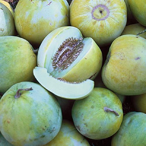 Melon Seeds - Sakatas Sweet - Packet, Vegetable Seeds