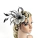Merya Dress 2 Tone Kentucky Derby Fascinators Church Tea Party Bridal Hat Mesh Cocktail Headwear Feather Hats Black-White