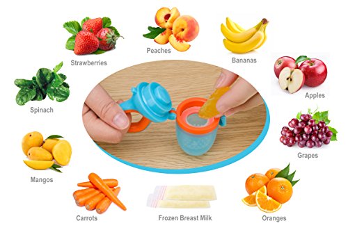 Fresh Food Fruit Feeding Pacifier 3 Different Sized Silicone