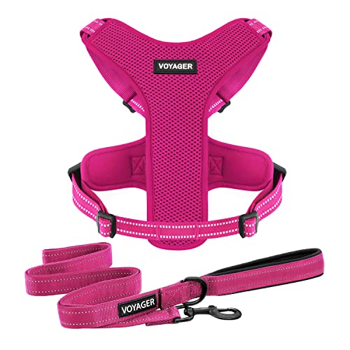 Air Frontier Mesh Dog Harness with and Reflective Dog Leash Set