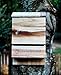BAT House PEST Control - Bats Shelter Protects Home from Mosquitoes and Bugs - Dual Chamber Wooden Bat Boxes Built to Last - Houses Up to 360 Bats - Repels Pests from Garden (Small, Brown)