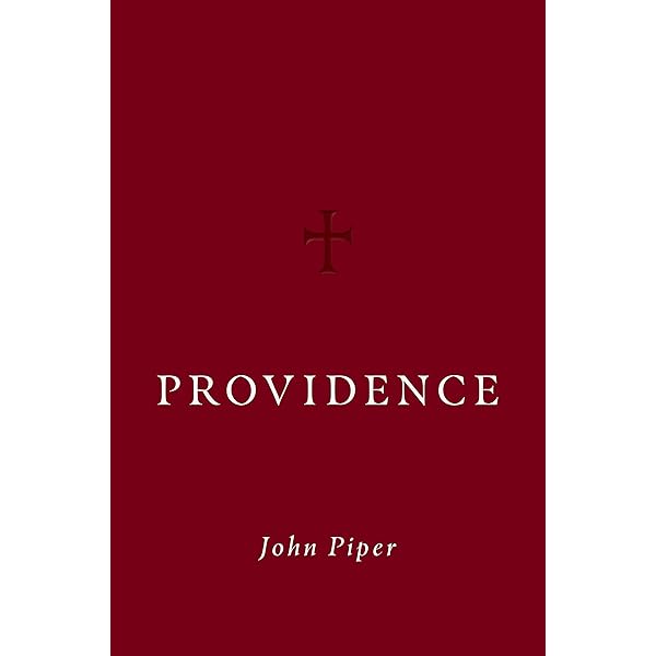 Providence: A Novel – Caroline Kepnes – Hardcover 2018 – Thriller/Suspense – GOOD Condition