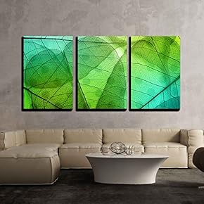 3 Piece Canvas Wall Art - Macro Leaves Background Texture Over Spotted Background. - Modern Home Art Stretched and Framed Ready to Hang - 16"x24"x3 Panels