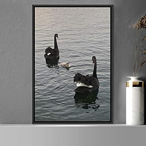 signwin Framed Canvas Wall Art Group of Birds...