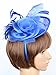 Womens Feather Mesh Fascinator Hat with Headband Royal Blue