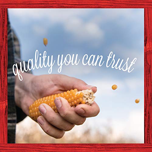 4 Orville+Redenbachers+Original+Gourmet+Popcorn