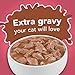 Purina Friskies Extra Gravy Wet Cat Food Chunky With Salmon in Savory Gravy - (Pack of 24) 5.5 oz. Cans