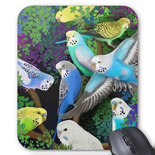 Parakeet Gifts Kritters in the Mailbox Parakeet Collectibles