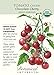 Organic Chocolate Cherry Tomato - 20 Seeds