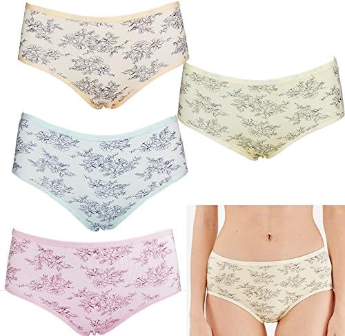 Sujis Women's 4 Pack Bamboo Viscose Fiber Multi Pack Plus Size Stretchy Soft Breathable High Middle Waist Panties,5/S