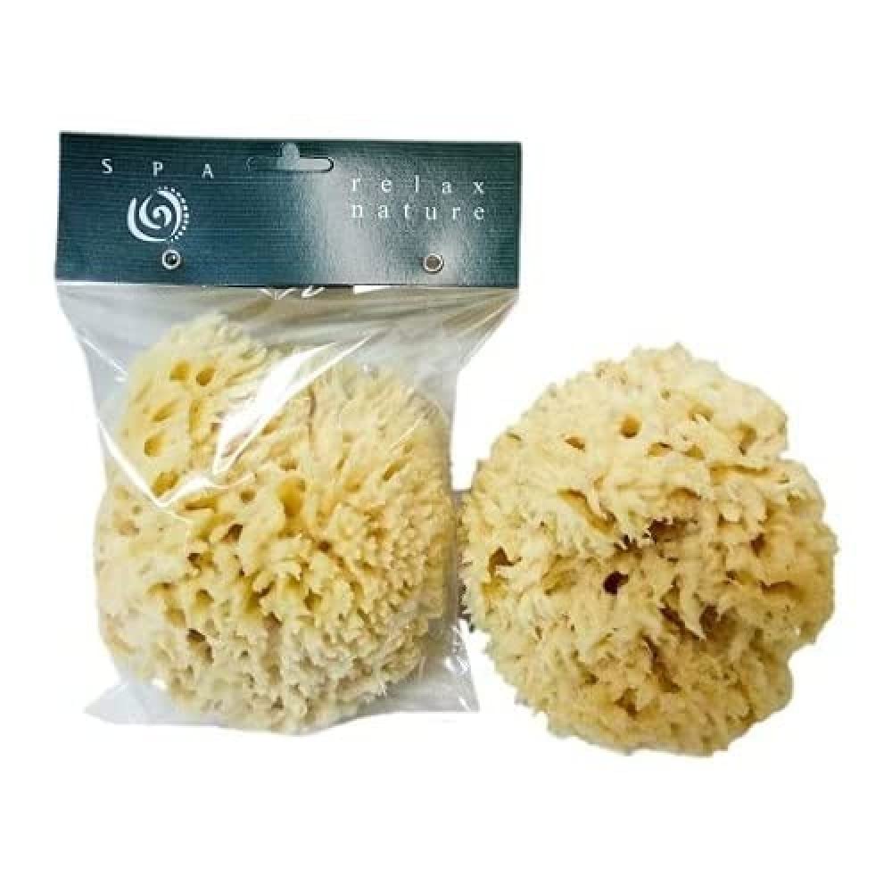 Venice Natural Sponge Nº605