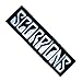 SCORPIONS Songs Rock Band Logo t Shirts MS20 Iron on Patches