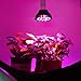HIGROW 36W Full Spectrum Grow lights for Indoor Plants, 18 LEDs E26 Plant Light, Grow Lamp for Hydroponics and Greenhouse