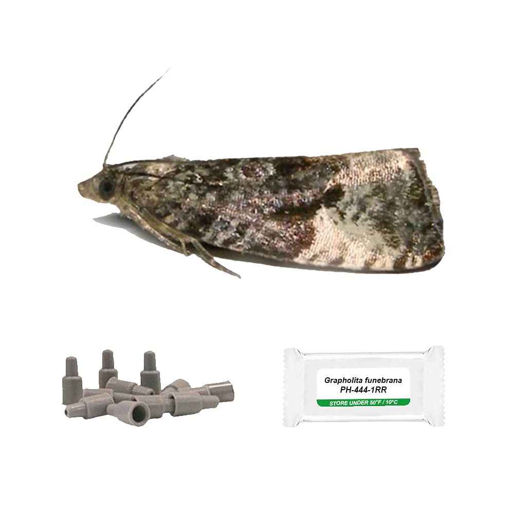 IPM Direct Pack of 3 Moth Trap Attractant Pheromones (Plum Fruit Moth)