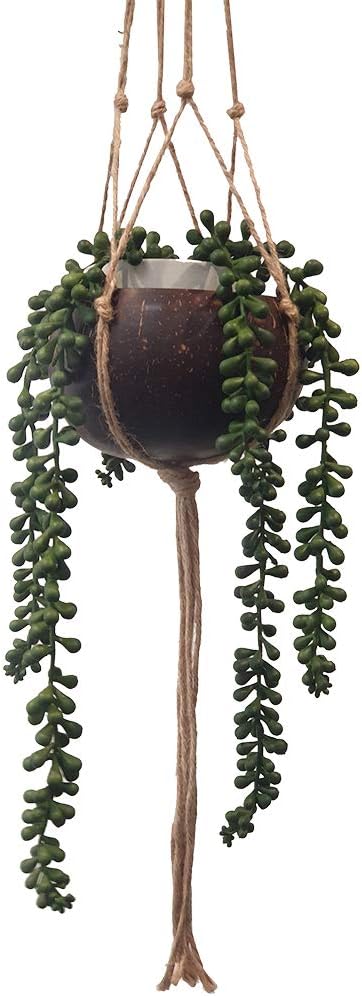 VIE Naturals Beautiful Coconut Shell Pot Holder, with a Sturdy Jute Macrame Style Hanging Rope, Brown, One - Image 3
