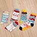 Womens Cotton Casual Crew Ankle Flamingo Socks 5 Pairs (Crew Flamingo Socks)