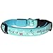 Itery LED Dog Pet Collars Flashing Light Up Pets Collar Size Adjustable Christmas Snowman Pattern (Blue Snowman)