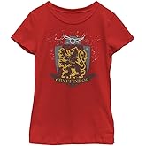 Harry Potter Unisex-Child Gryffindor Quidditch