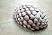 Dragon Egg Silicone Mold SOAP Wax Plaster Resin Clay